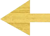 g1